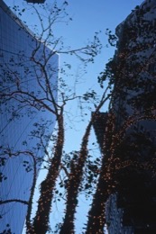 Architecture;Blue;Buildings;Christmas-Decoration;Cities;City;Colour;Color;Kaleidos;Kaleïdos;New-York-City;NYC;Tarek-Charara;Towns;United-States-of-America;USA;Manhattan;Gordon-Bunshaft;Skidmore,-Owings-Merrill;Skyscrapers;La-parole-à-limage